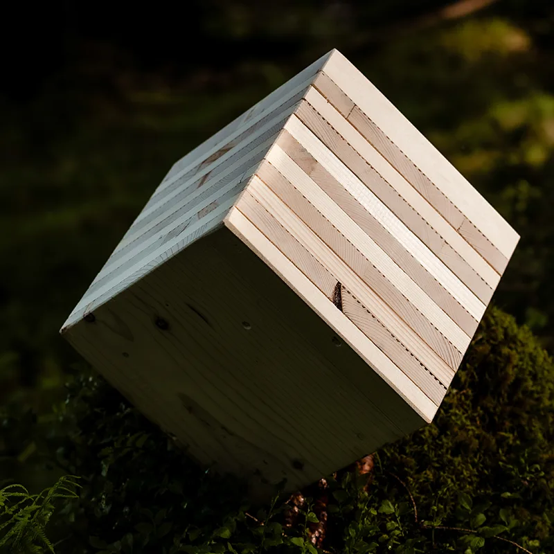 Holzwürfel mit Wandaufbau im Wald