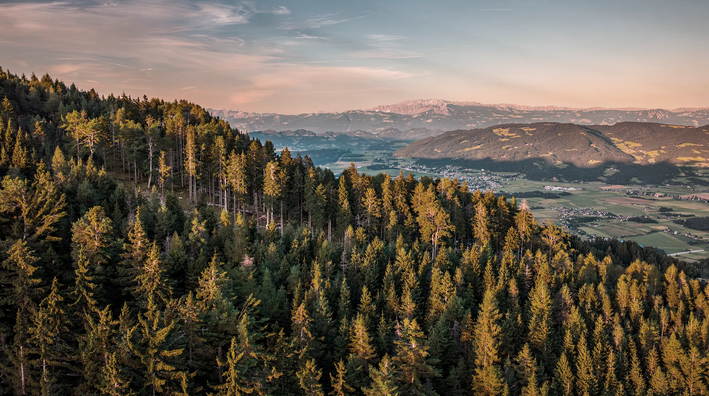 Bewaldete Landschaft mit Blick auf Berge und Tal