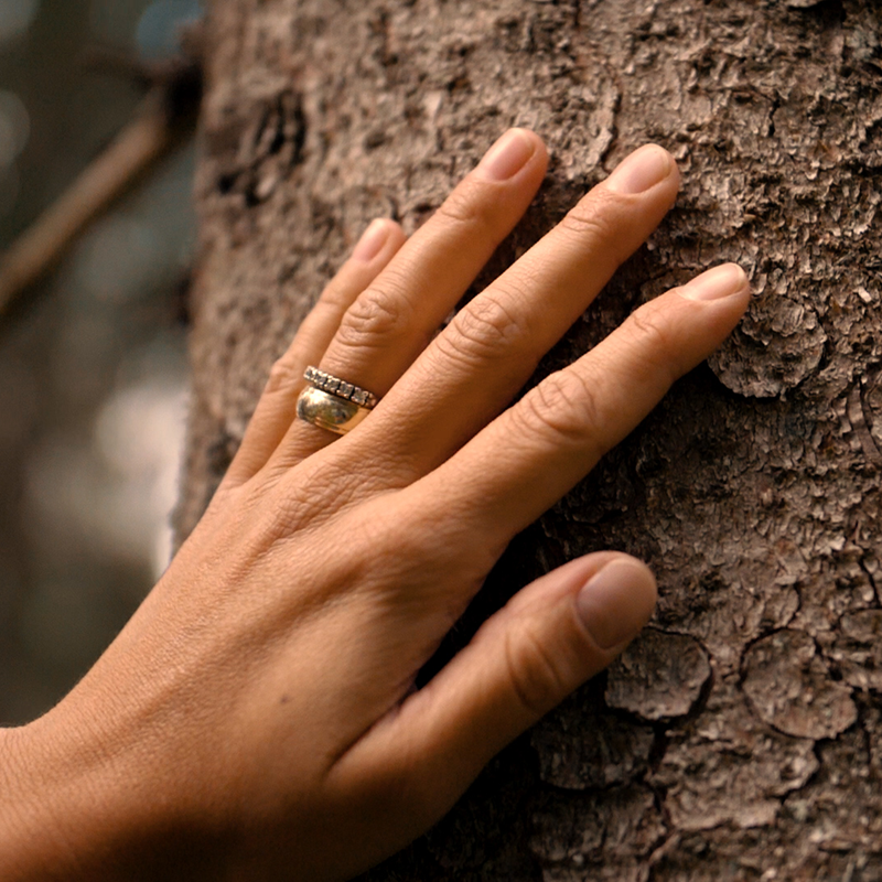 Hand auf einem Baum
